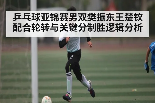 乒乓球亚锦赛男双樊振东王楚钦配合轮转与关键分制胜逻辑分析